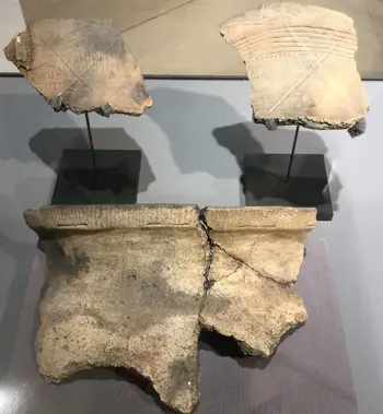 Broken pieces of pottery