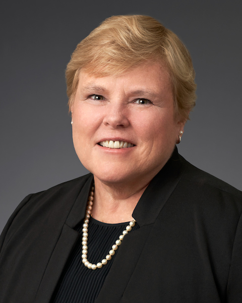 Headshot of Councillor Sandra Hanmer