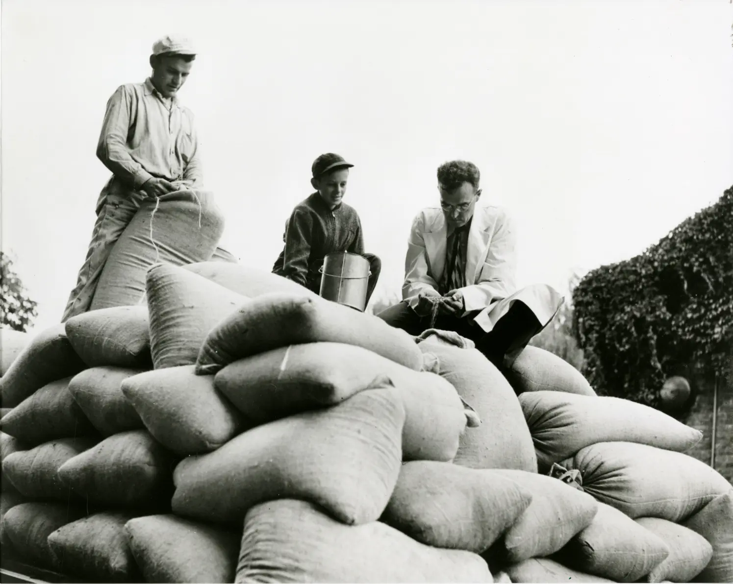 Image of men inspecting grain