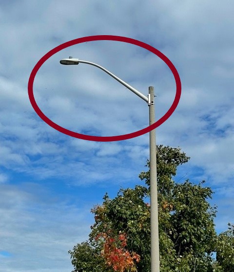 Cobra-shaped street light owned by Enova Power