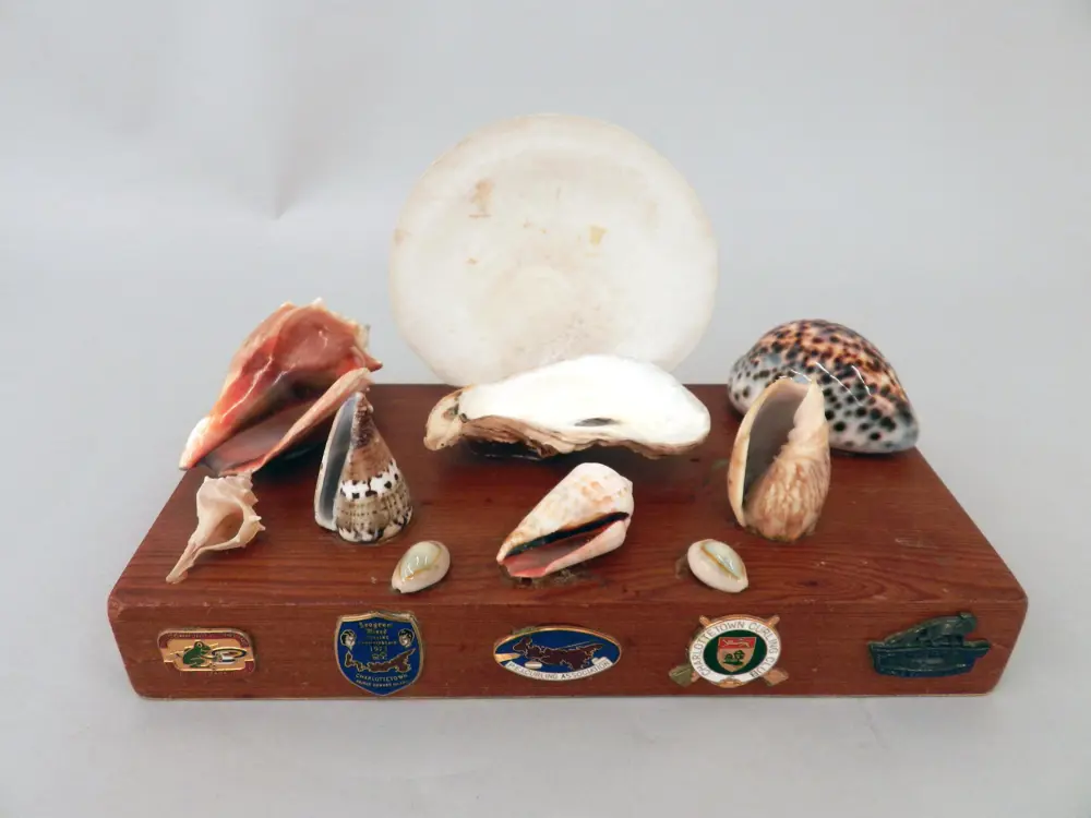 Images of curling trophies or shells that were given to participants 