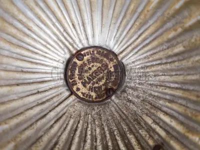 Top of Volunteer village fire hat gold tiger 