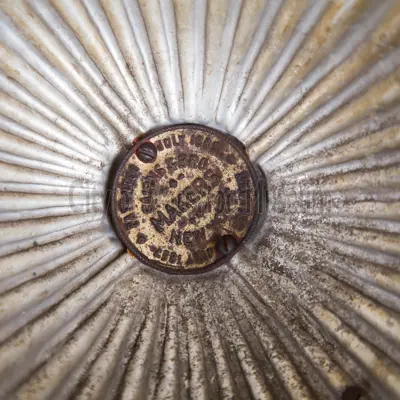 Top of Volunteer village fire hat gold tiger 