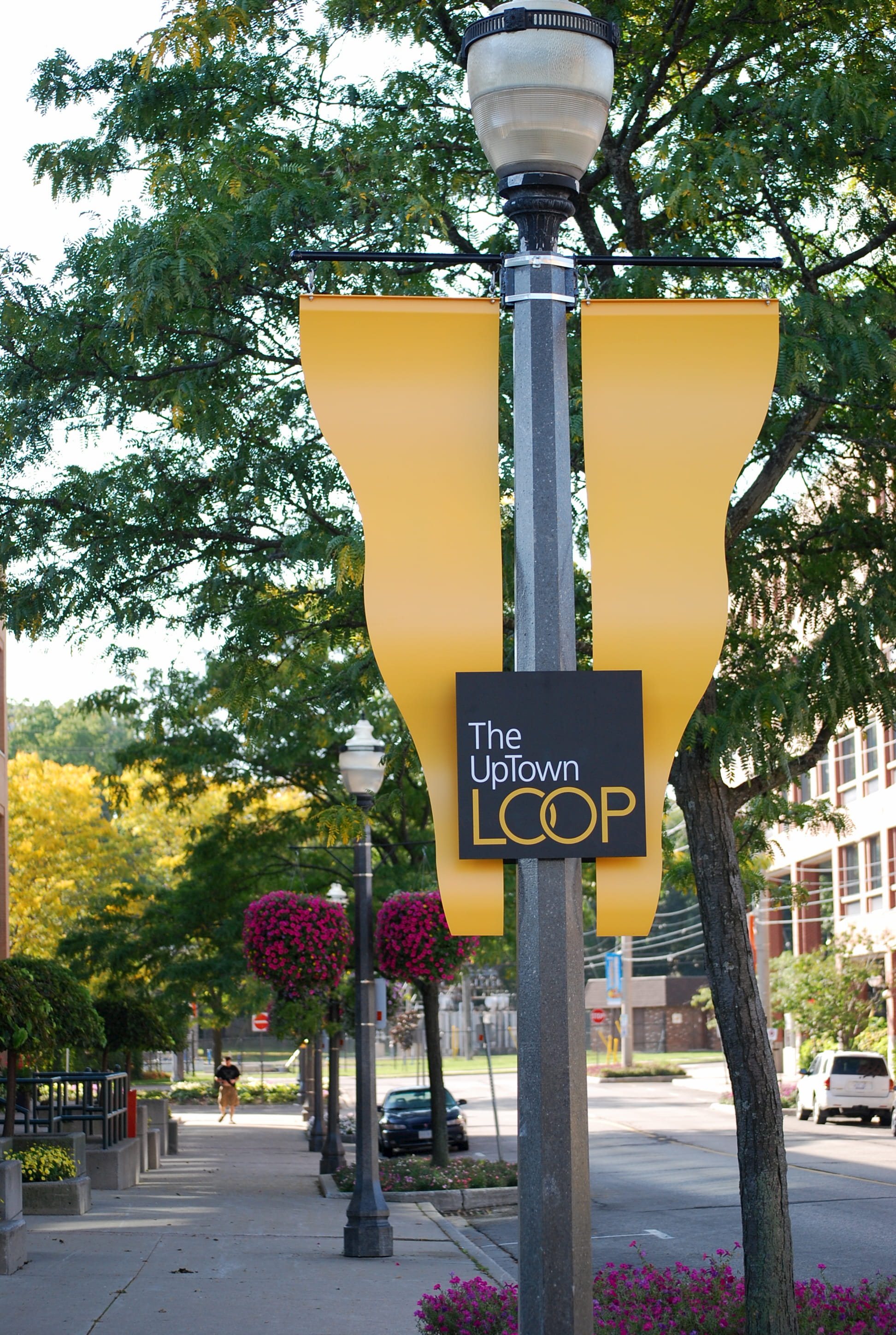 City owned street light example showing the column and lamp.